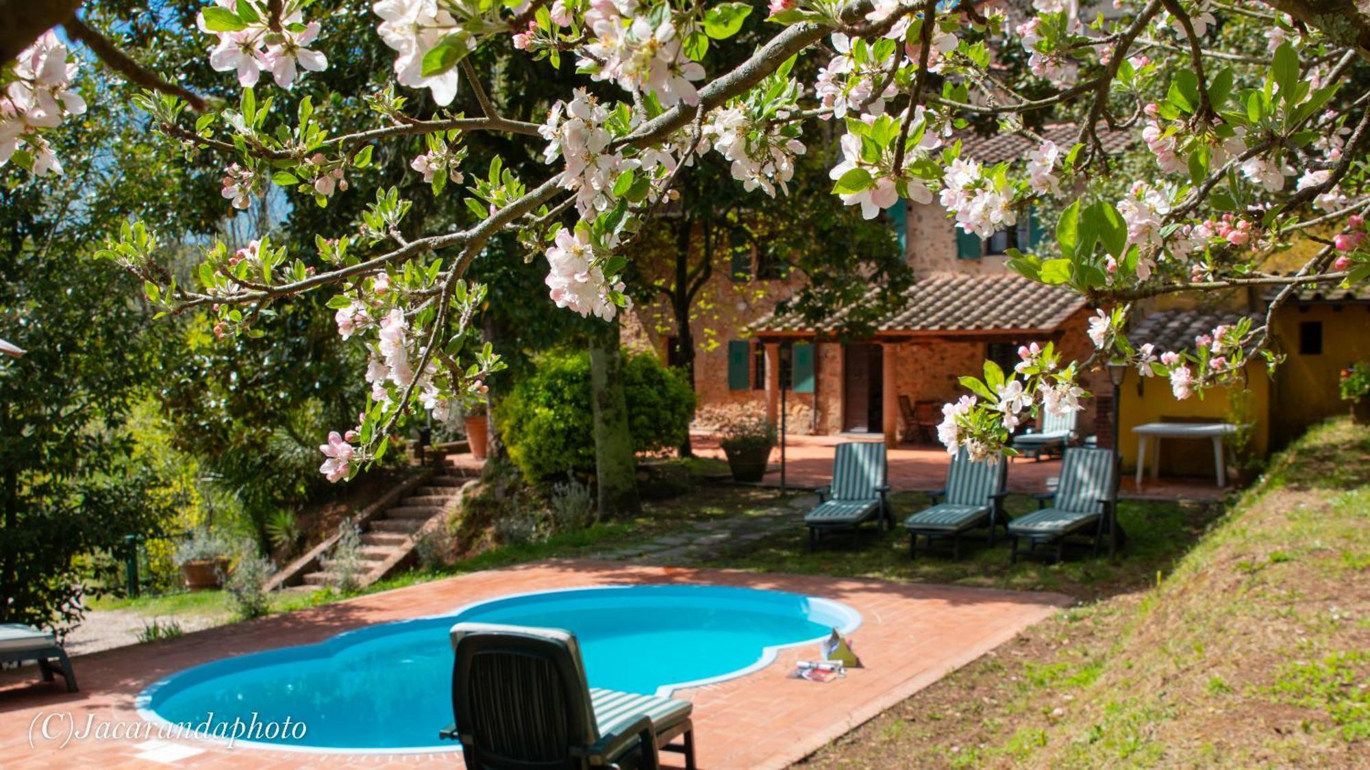 Villa La Pieve Camaiore Ngoại thất bức ảnh